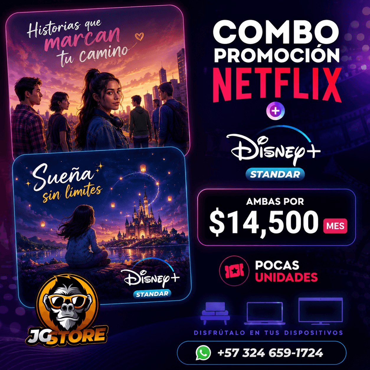Promo Netflix + Disney Standard